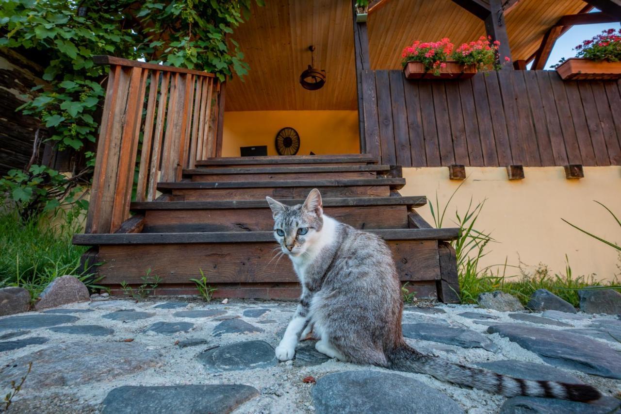 Casa Paulini Leilighet Cisnadioara Eksteriør bilde